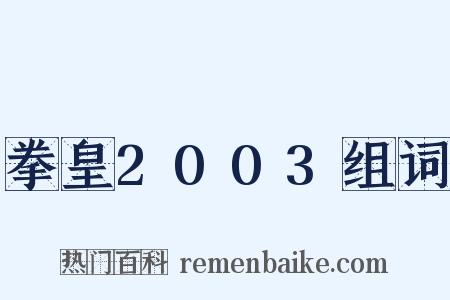 拳皇2003组词是什么意思的图片